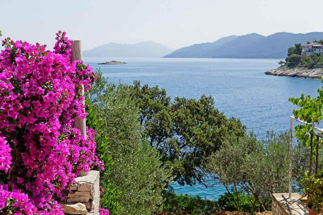 Villa Prigradica Paradise Luaran gambar